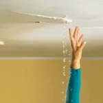 waterproofing in building construction